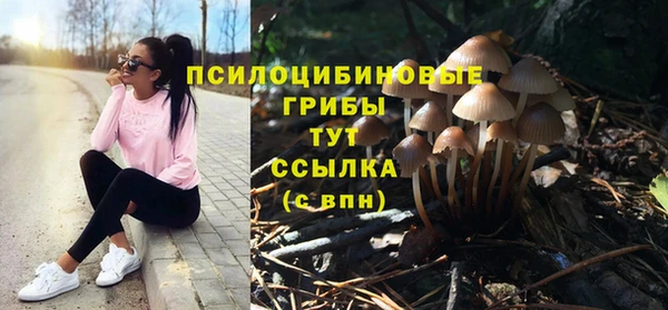 соль курить ск Алексеевка