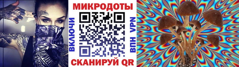 Галлюциногенные грибы Magic Shrooms  Пучеж 